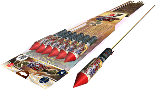  Ракеты Союз-Аполлон  в Кондопоге